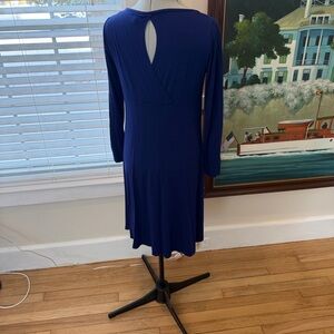 Eileen Fisher Blue Midi Dress